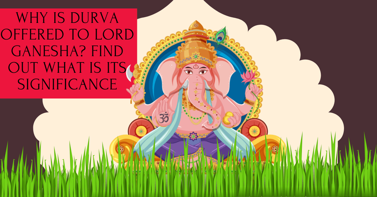 Why is Durva offered to Lord Ganesha? Find out what is its significance ...