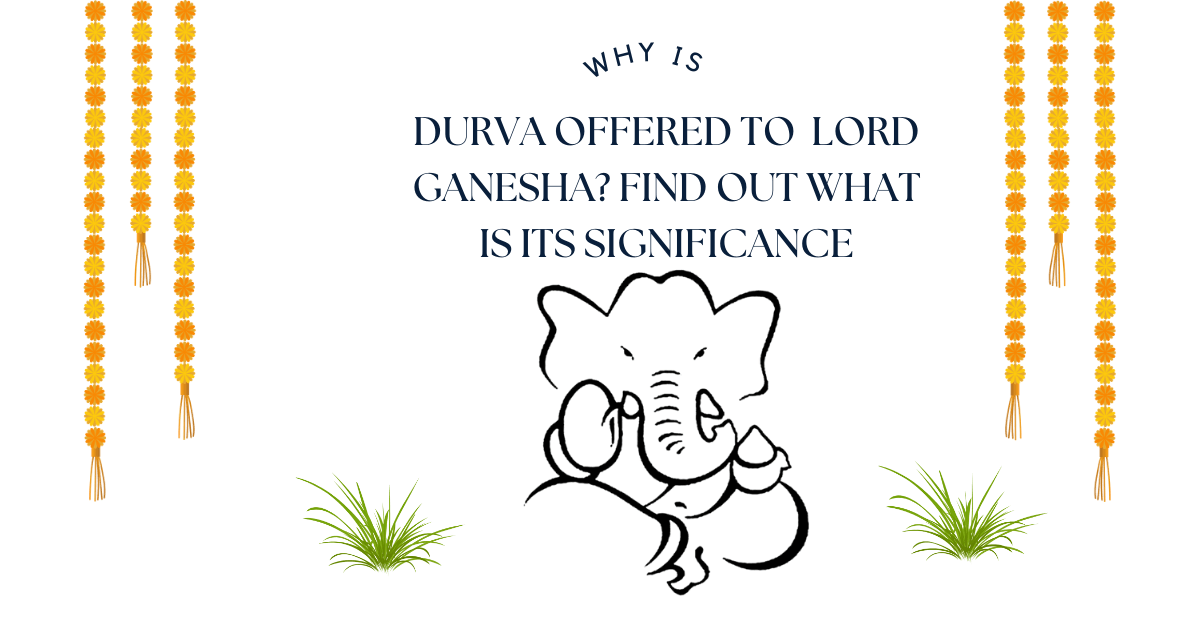 Why is Durva offered to Lord Ganesha? Find out what is its significance ...